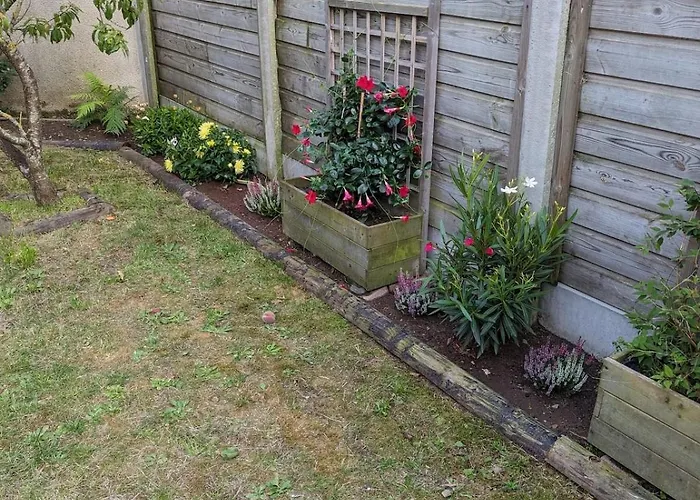 La Des Vikings Bréhal